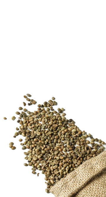 Robusta R2-5%