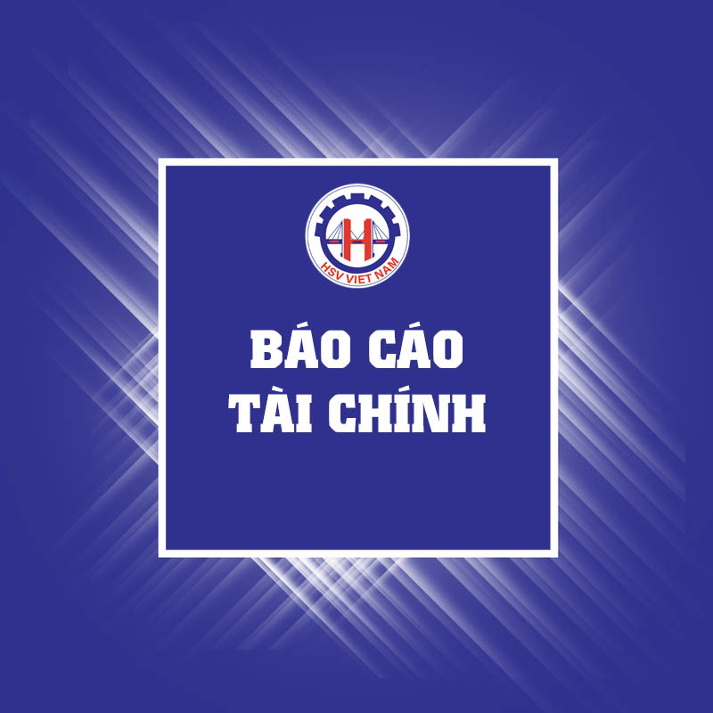 HSV - CBTT Báo cáo tài chính bán niên năm 2026 đã được soát xét
