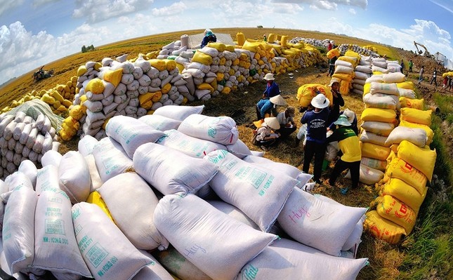 Liên tiếp lập kỷ lục, nông sản Việt thành 'ngôi sao' trên thị trường thế giới