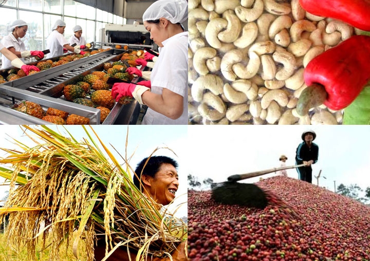 'Lớp trung gian thu lợi đến 200% giá gốc nông sản'