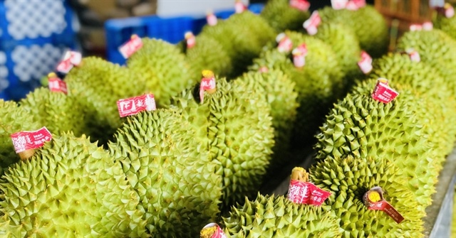 Xuất khẩu sầu riêng Việt Nam tăng đột biến đạt 2,1 tỉ USD