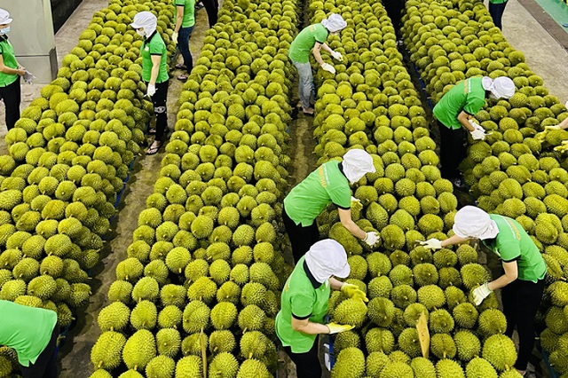 Điểm tên những mặt hàng nông sản của Việt Nam được thế giới ưa chuộng